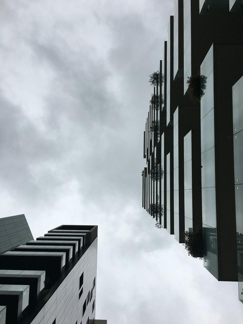 Commercial project