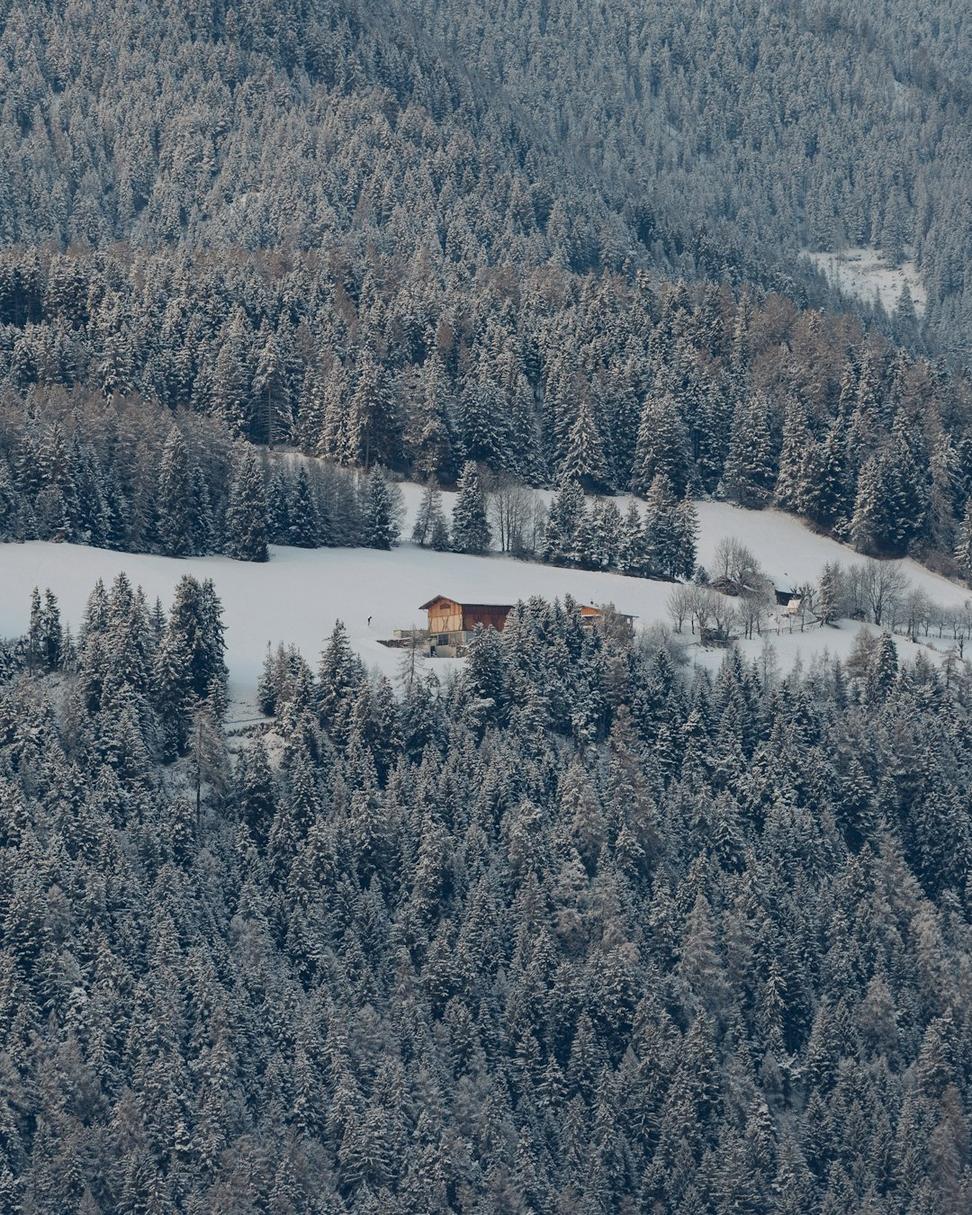Pemberton Forest House